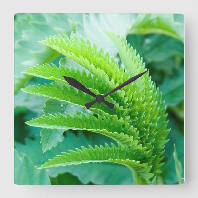 Frische grüne Frühlingssäule Blätter Wall Clock Quadratische Wanduhr (Vorderseite)