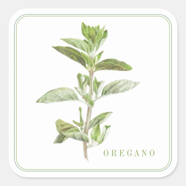 FRISCHE OREGANO Große Aufkleber (Vorderseite)