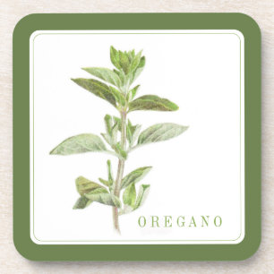 FRISCHE OREGANO-HartplastikUntersetzer (+text) Grü Getränkeuntersetzer