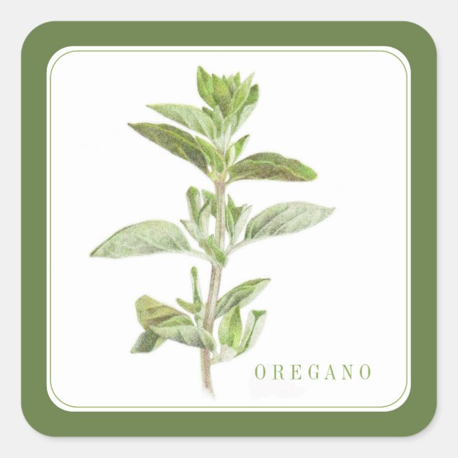 FRISCHE OREGANO Kleine Quadrat-Aufkleber (+Text) G Quadratischer Aufkleber (Vorderseite)