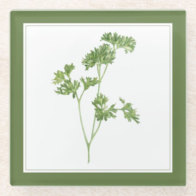 FRISCHE PARSLEY Glas Getränkekappe (-text) Grün Glasuntersetzer (Vorderseite)