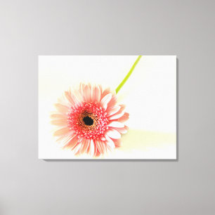 Frische Pinke Gerbera-Margerite Fotografie Leinwanddruck