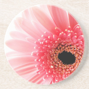 Frische Pinke Gerbera-Margerite Fotografie Sandstein Untersetzer