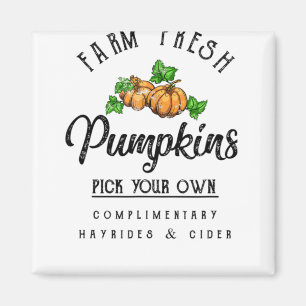 Frische Pumpkins fallen Halloween Retro Magnet