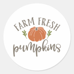 Frische Pumpkins fallen Themengegenstände Runder Aufkleber