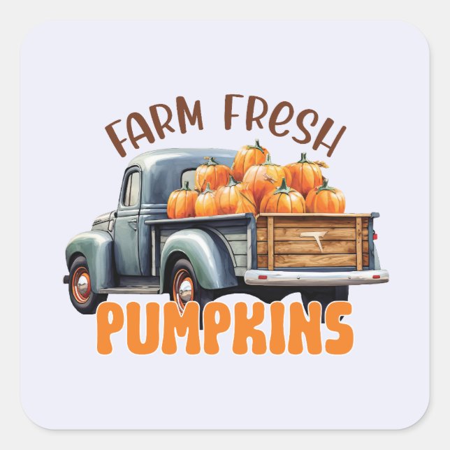 Frische Pumpkins - Rustikaler LKW Quadratischer Aufkleber (Vorderseite)