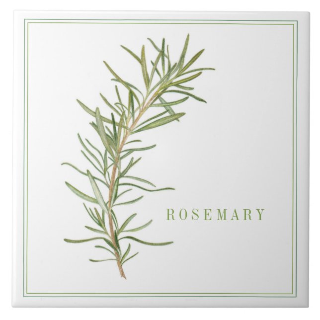 FRISCHE ROSEMARY 6x6 Keramik Tile (+text) Fliese (Vorderseite)