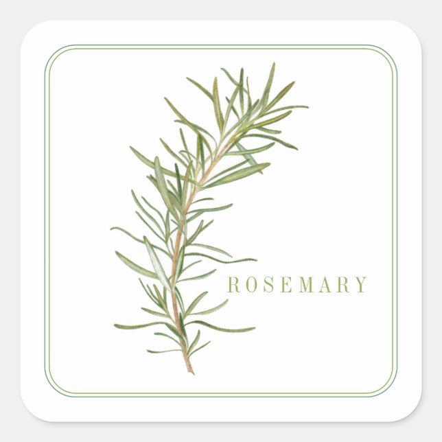 FRISCHE ROSEMARY Kleine Aufkleber am Platz (Vorderseite)