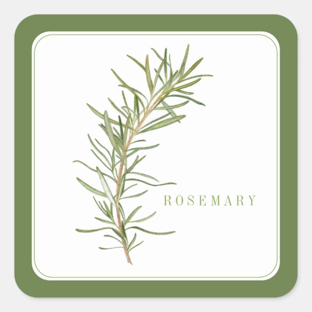 FRISCHE ROSEMARY Kleine Aufkleber auf dem Platz -  (Vorderseite)