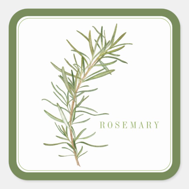 FRISCHE ROSEMARY Large Square Stickers - Green (Vorderseite)
