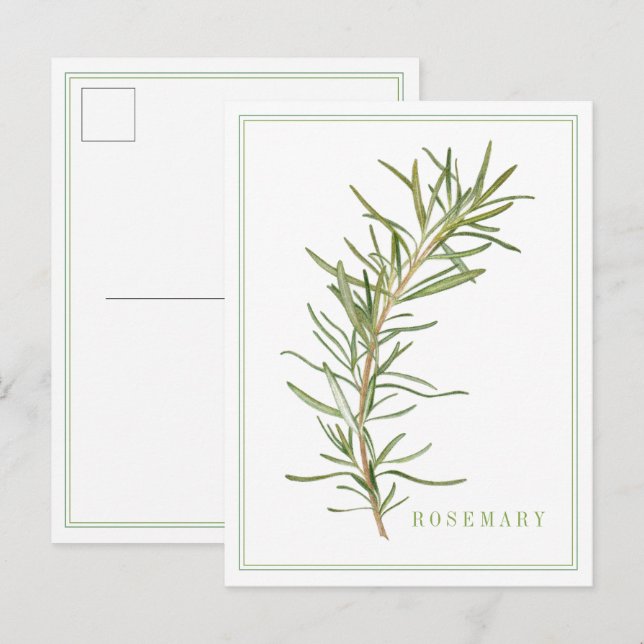 FRISCHE ROSEMARY Postkarte (Vorne/Hinten)