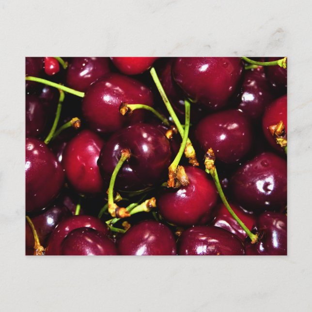 Frische saftige Kirschen mit Wassertropfen Postkarte (Vorderseite)