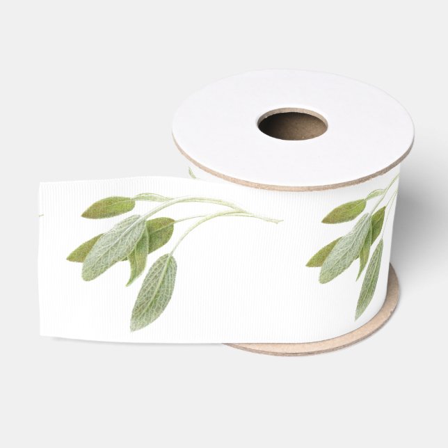 FRISCHE SAGE 3" breiter Grosgrain-Ribbon Ripsband (Spule)