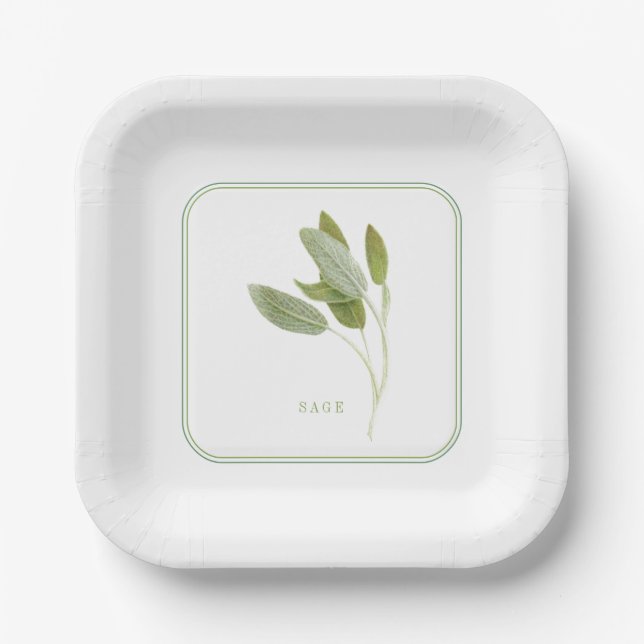 FRISCHE SAGE 7" Square Paper Teller (Vorderseite)