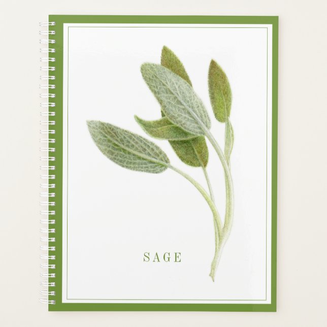 FRISCHE SAGE 8.5x11 Planer / Grün (Vorderseite)