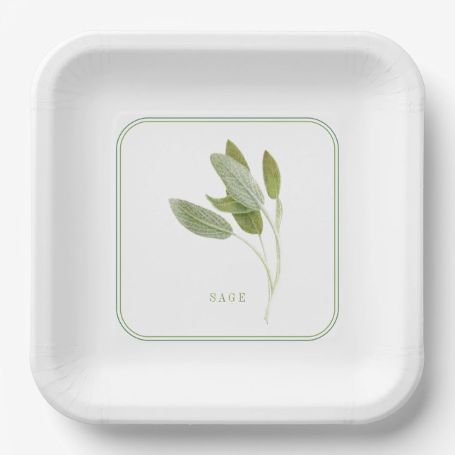 FRISCHE SAGE 9" Square Paper Teller (Vorderseite)