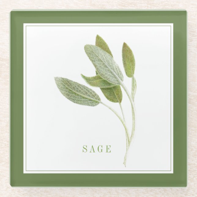 FRISCHE SAGE Glass Beverage Coaster (+text) Grün Glasuntersetzer (Vorderseite)
