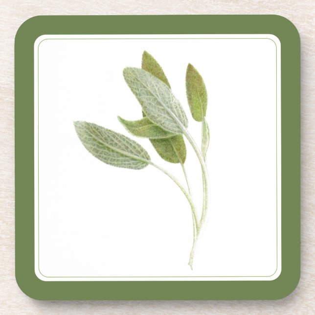 FRISCHE SAGE Hard Plastic Untersetzer (-text) Grün (Vorderseite)