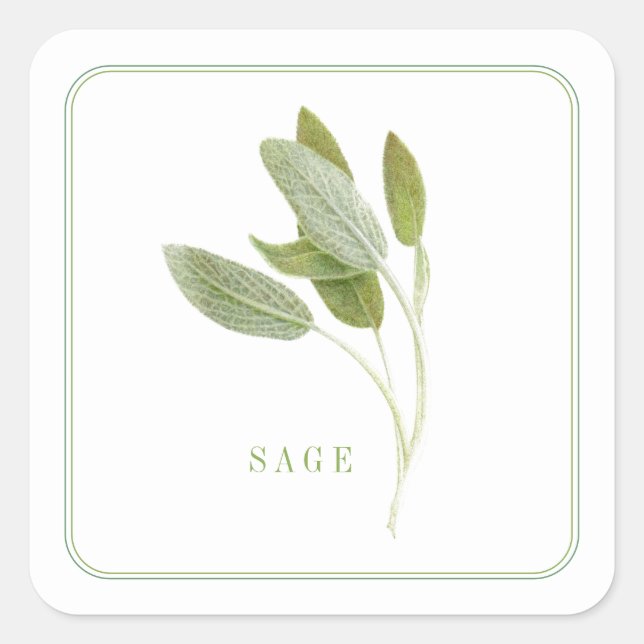 FRISCHE SAGE Kleine Aufkleber auf dem Platz (Vorderseite)