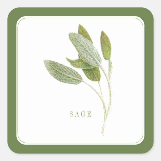 FRISCHE SAGE Kleine Aufkleber auf dem Platz - Grün (Vorderseite)
