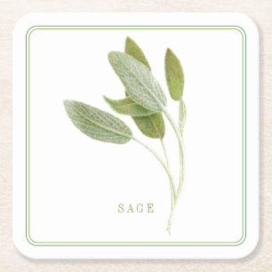 FRISCHE SAGE Square Paper Untersetzer (+text)