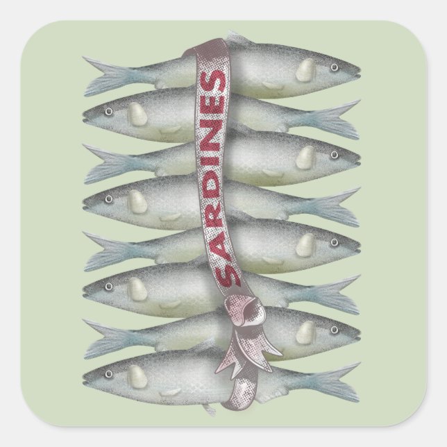 Frische Sardinen Quadratischer Aufkleber (Vorderseite)