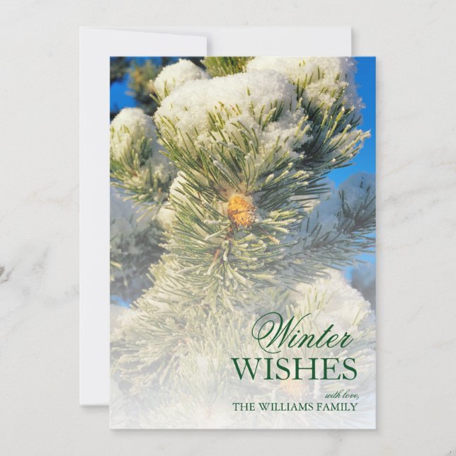 Frische Schnee auf Pine Needles (Vorderseite)