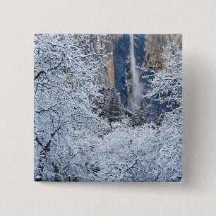 Frische Schneefälle in den Bäumen unterhalb von Br Button