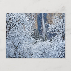 Frische Schneefälle in den Bäumen unterhalb von Br Postkarte