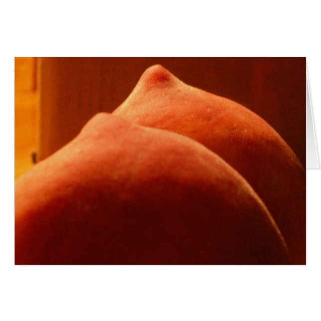 frische Sommerpfirsiche (Vorderseite (Horizontal))