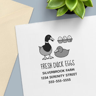 Frische Stockenten-Eier Bauernhof-Adresse Permastempel