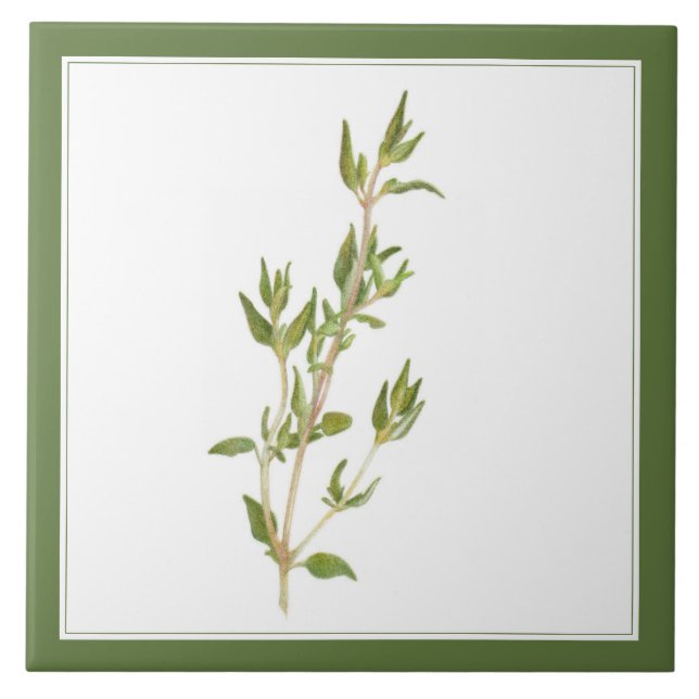 FRISCHE THYME 6x6-Keramik-Tile (-text) Grün Fliese (Vorderseite)