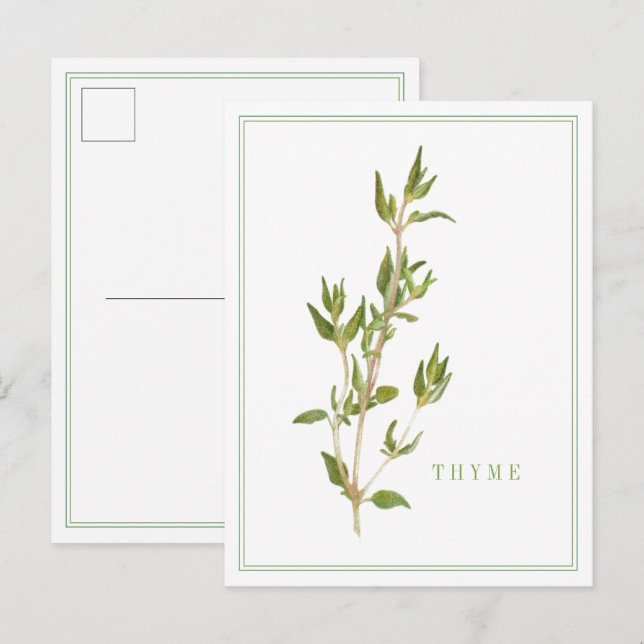 FRISCHE THYME Postkarte (Vorne/Hinten)