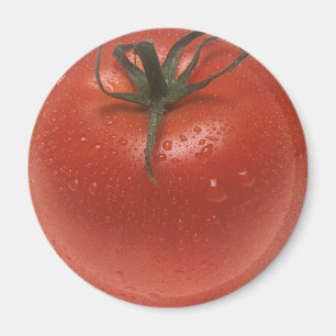 Frische Tomate Magnet