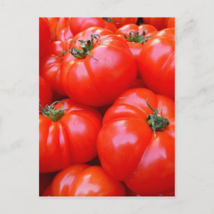 frische Tomaten Postkarte