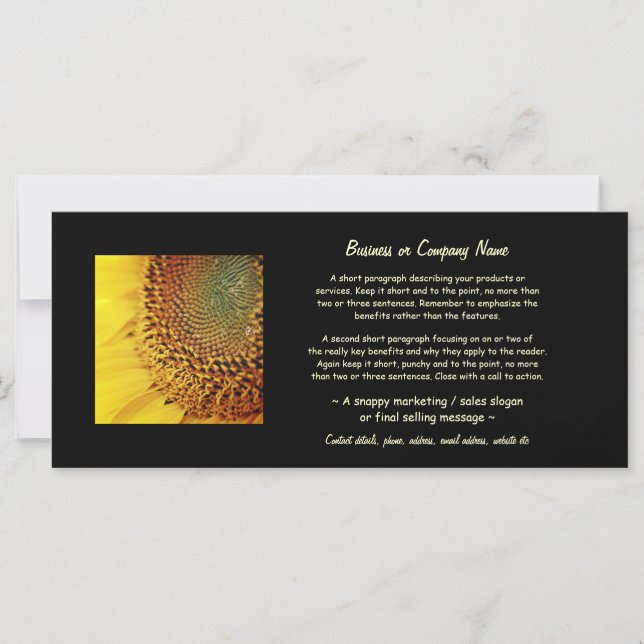 Frische und goldene Sonnenblumen (Vorderseite)