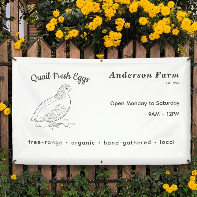 Frische Wachteleier Banner (Fresh Farm Quail Eggs Banner)