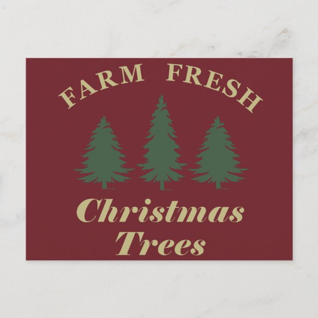 Frische Weihnachtsbäume Feiertagspostkarte (Vorderseite)