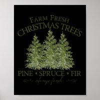 Frische Weihnachtsbäume Tanne Fichte Tannen Immer