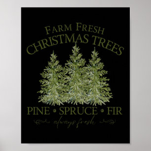 Frische Weihnachtsbäume Tanne Fichte Tannen Immer Poster
