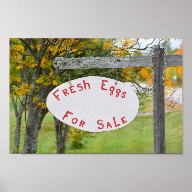 Frischeier zum Verkauf in Vermont Unterschrift Poster (Vorne)