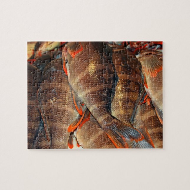 Frischer Fisch (Horizontal)