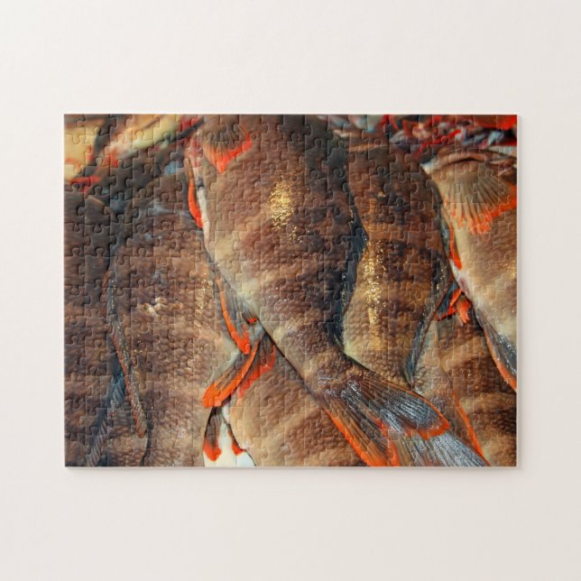 Frischer Fisch (Horizontal)