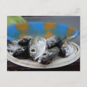 Frischer Fisch auf Fischmarkt Mercado de Peixe), Postkarte