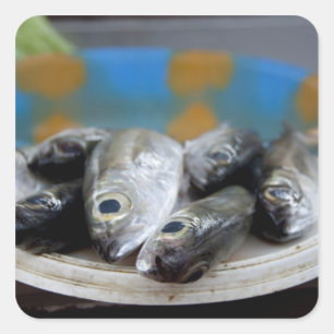 Frischer Fisch auf Fischmarkt Mercado de Peixe), Quadratischer Aufkleber