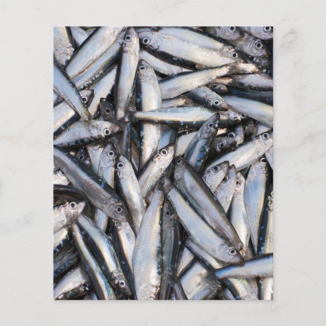 Frischer Fisch - Lebensmittelzutaten. Flyer (Vorne)