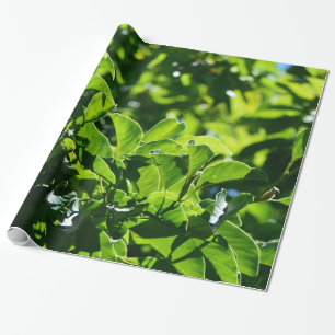 frischer Frühling, sommergrüne Blätter. Natürliche Geschenkpapier