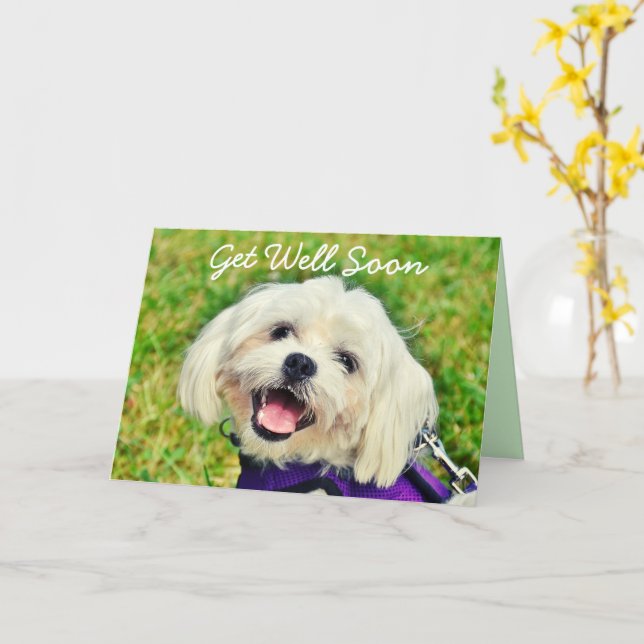Frischer grüner Hund und Ermutigung erhalten gute  Karte (Gelbe Blume)