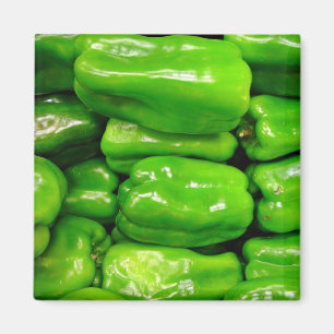 Frischer grüner spanischer Pfeffer Magnet