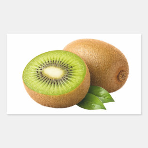 Frischer Kiwi-Scheibe und Aufkleber für ganze Fruc